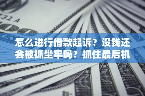 武汉怎么进行借款起诉？没钱还会被抓坐牢吗？抓住最后机会！