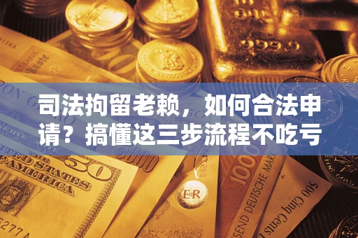 武汉司法拘留老赖，如何合法申请？搞懂这三步流程不吃亏！