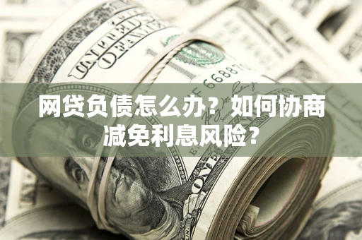 武汉网贷负债怎么办？如何协商减免利息风险？