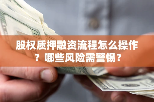 武汉股权质押融资流程怎么操作？哪些风险需警惕？