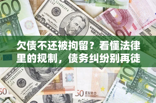 武汉欠债不还被拘留？看懂法律里的规制，债务纠纷别再徒劳奔波