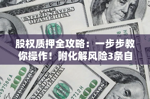 武汉股权质押全攻略：一步步教你操作！附化解风险3条自救法则