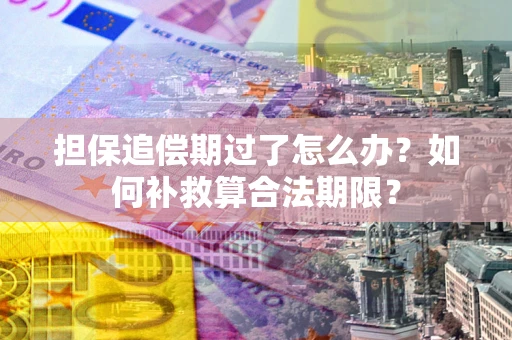 武汉担保追偿期过了怎么办？如何补救算合法期限？
