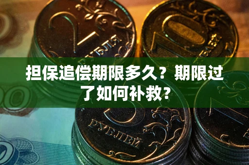 武汉担保追偿期限多久？期限过了如何补救？