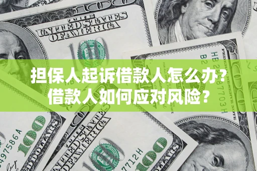 武汉担保人起诉借款人怎么办？借款人如何应对风险？