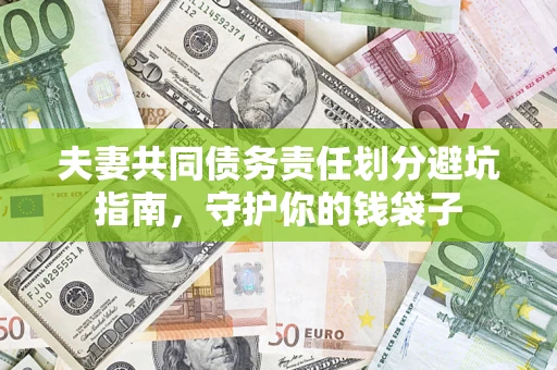 武汉夫妻共同债务责任划分避坑指南，守护你的钱袋子