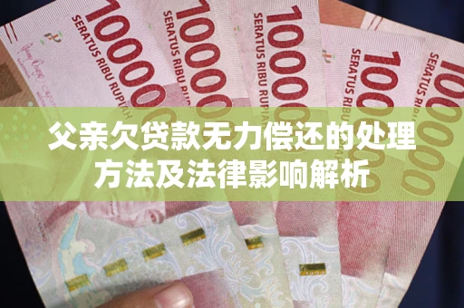 武汉父亲欠贷款无力偿还的处理方法及法律影响解析