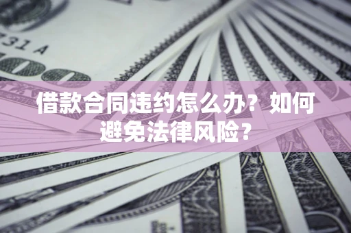 武汉借款合同违约怎么办？如何避免法律风险？