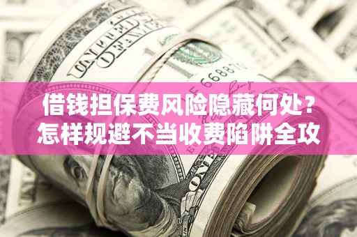 武汉借钱担保费风险隐藏何处？怎样规避不当收费陷阱全攻略！