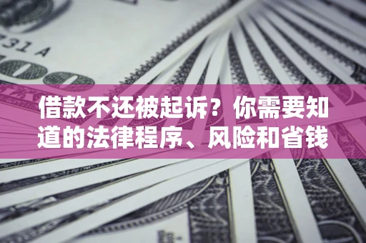 武汉借款不还被起诉？你需要知道的法律程序、风险和省钱技巧