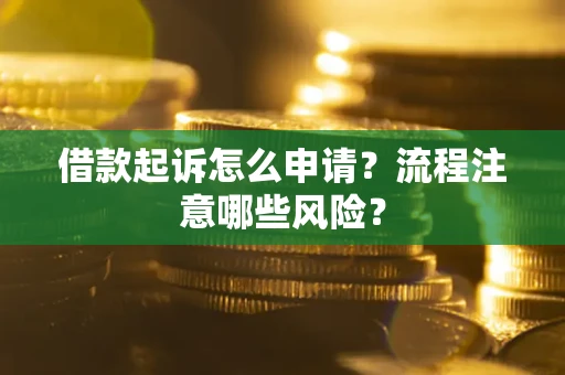 武汉借款起诉怎么申请？流程注意哪些风险？